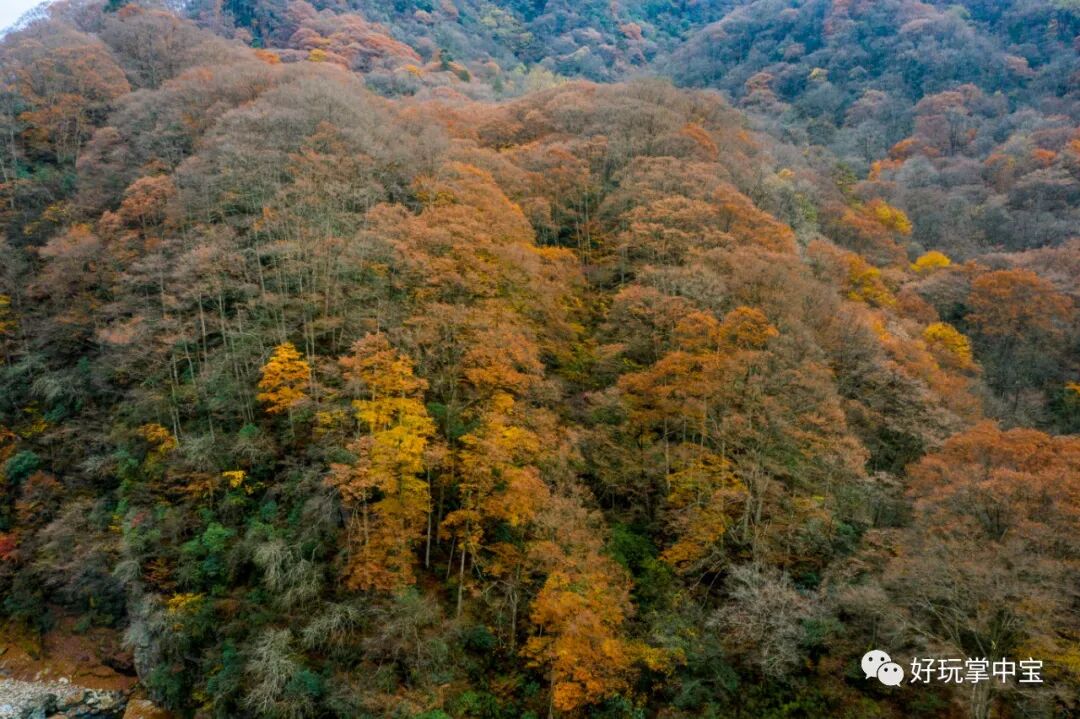 川西秋景——古尔沟