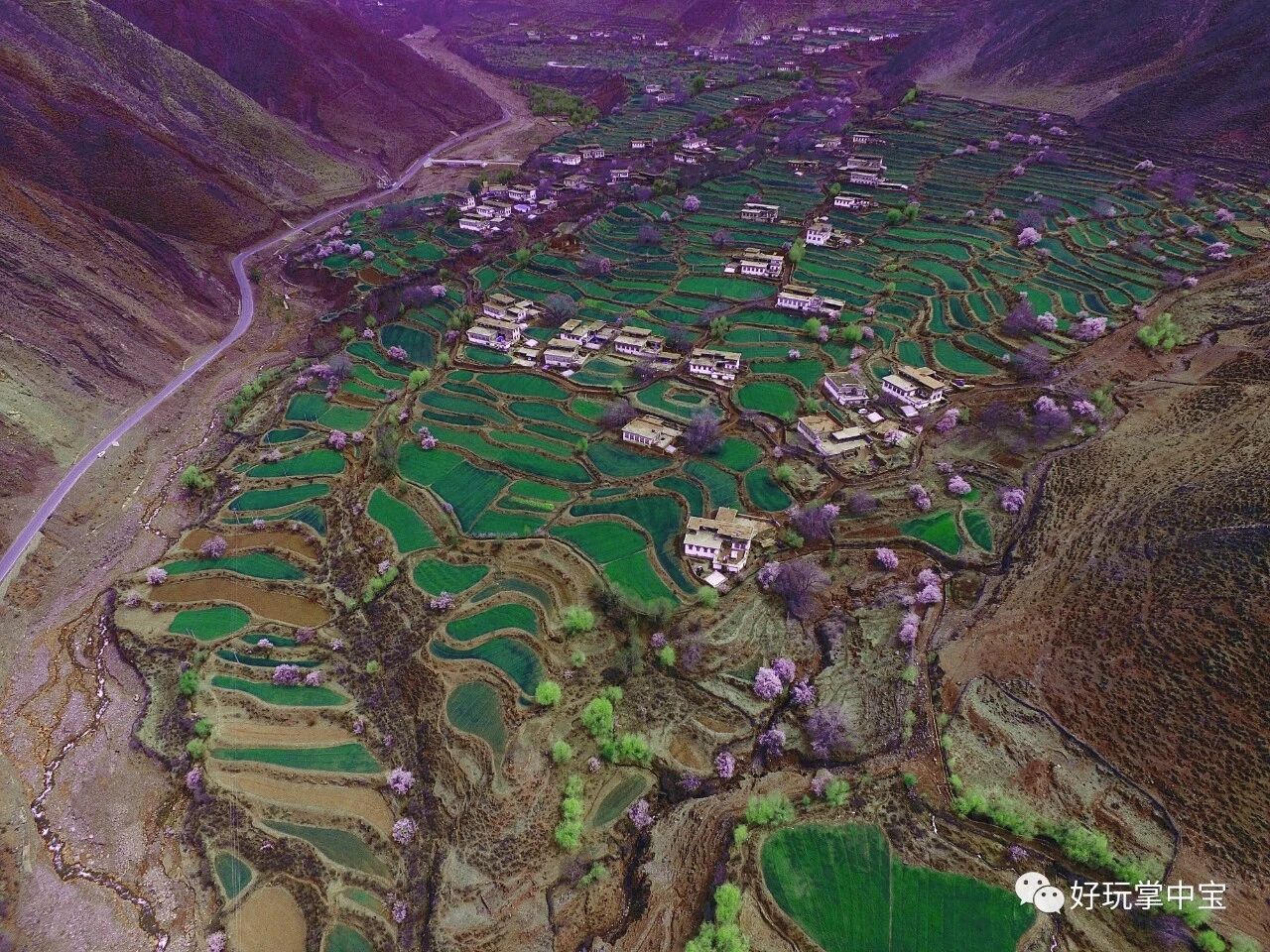 天路春回，川藏花开（六）——桃花灼灼在山谷