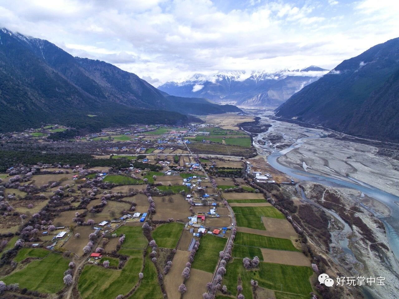 天路春回，川藏花开（八）——林芝桃花沟
